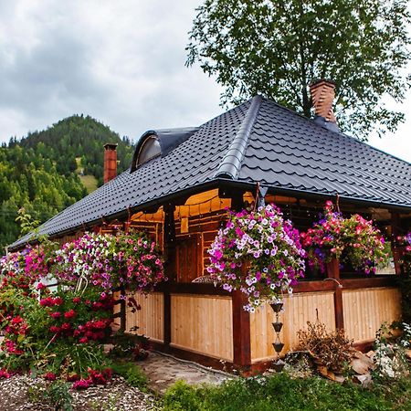 Casa Baciu Hotel Fundu Moldovei Eksteriør billede