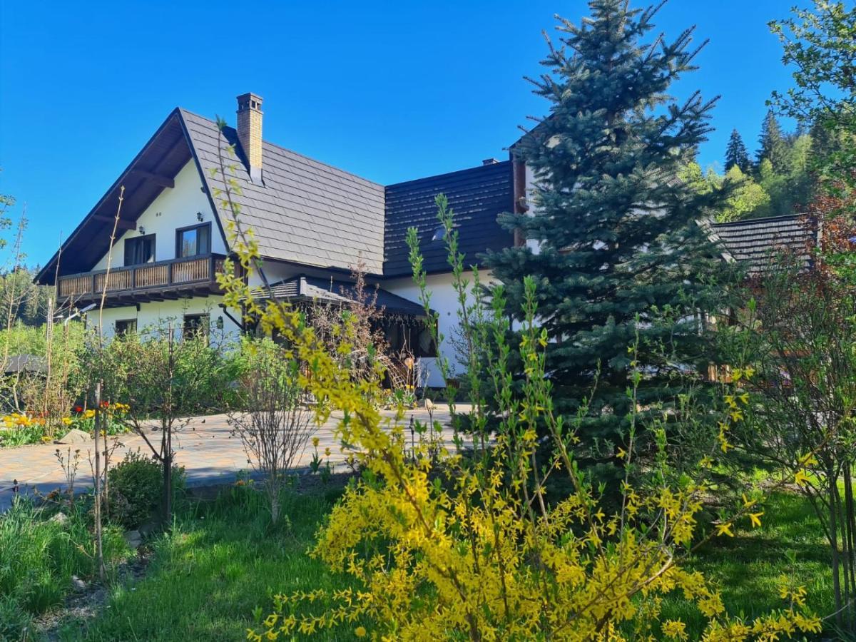Casa Baciu Hotel Fundu Moldovei Eksteriør billede