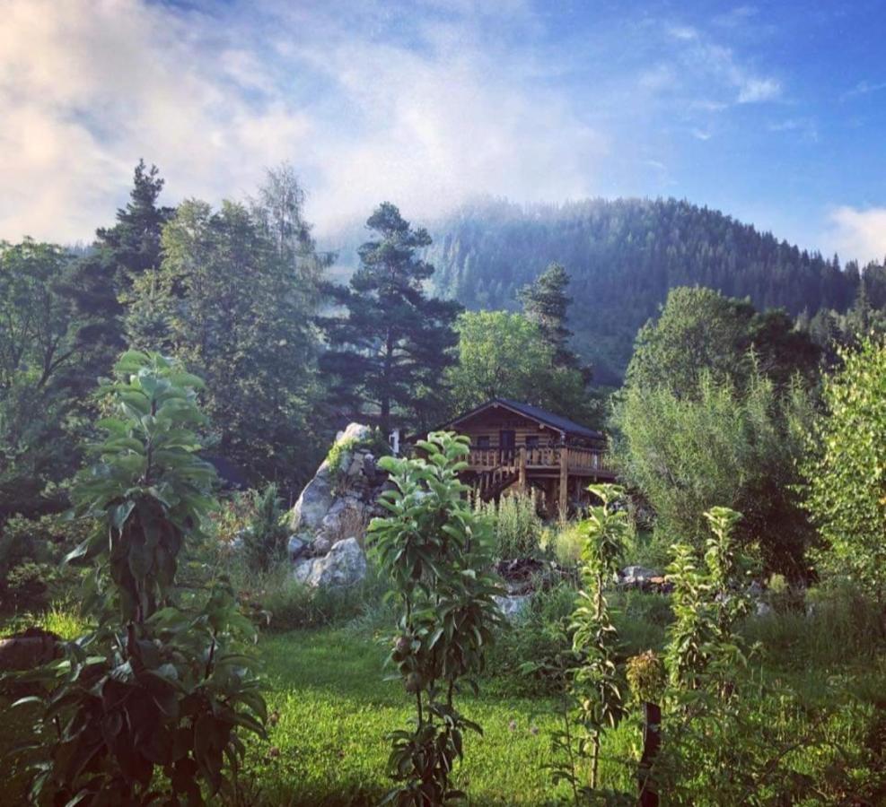 Casa Baciu Hotel Fundu Moldovei Eksteriør billede