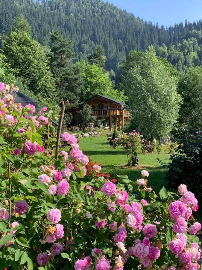 Casa Baciu Hotel Fundu Moldovei Eksteriør billede